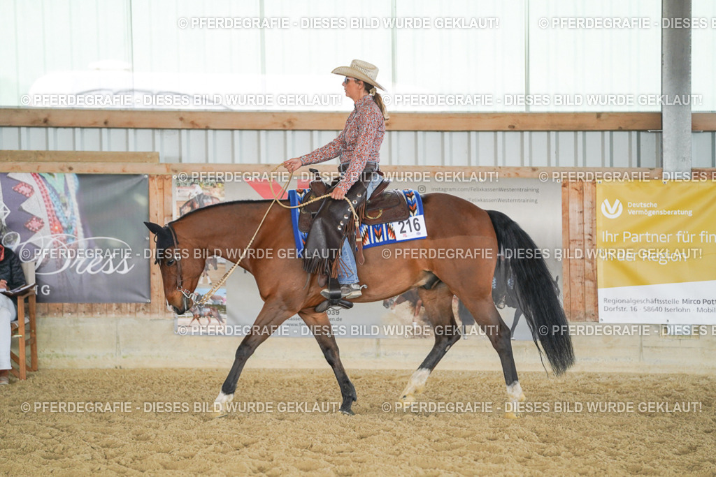 DSC01006 | Pferdegrafie