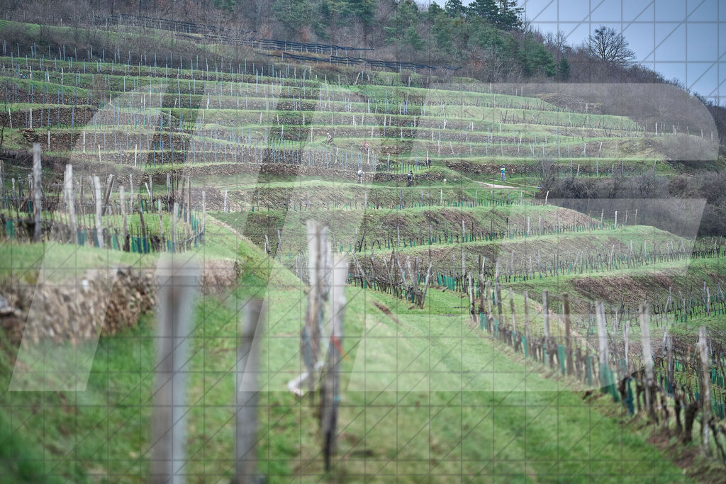 33. KTM Kamptal Trophy | 30.03.2025: 33. KTM Kamptal Trophy in Zöbing, Niederösterreich, ÖsterreichFoto: © 2025 Martin Bihounek / martinbihounek.comInsta: @martinbihounekcomFB: @martinbihounekphotography