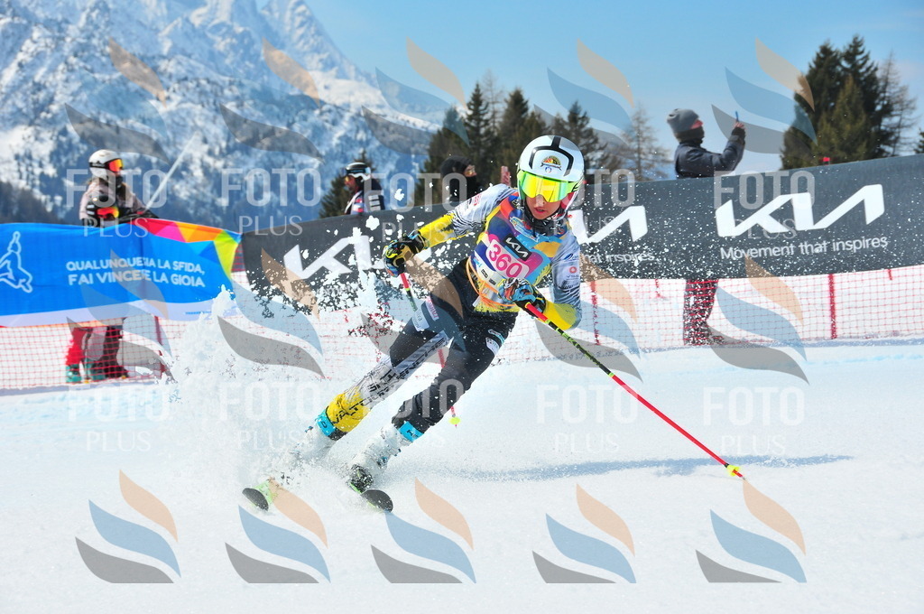 DSC_7040 | holidayphoto