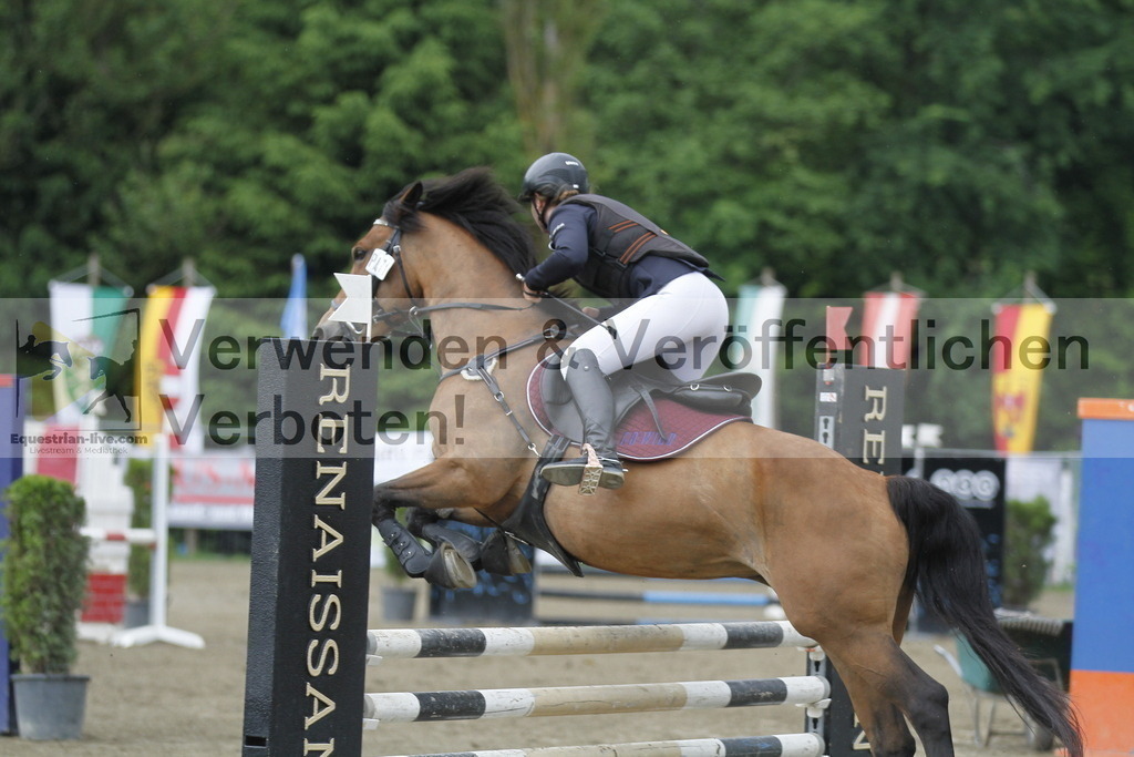 _MG_6898 | equestrian-live-com