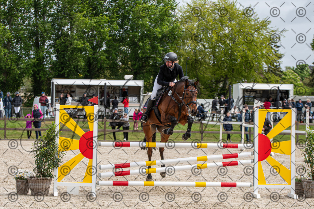 KPT_8893 | andre_photographic