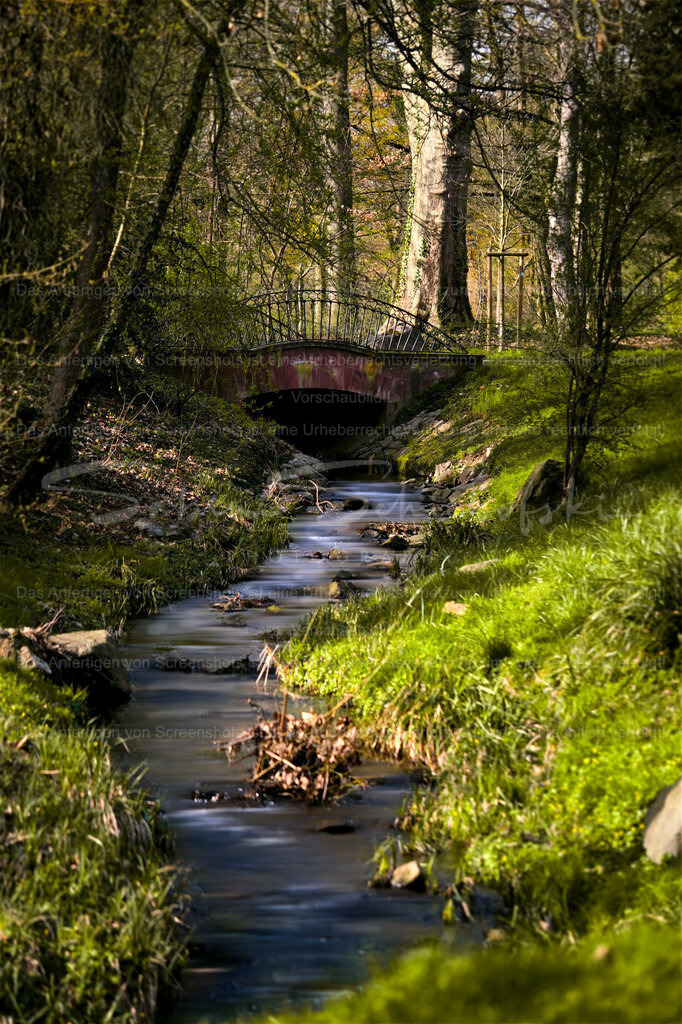 Wandbild "Die kleine Brücke"  Schlosspark Wiesbaden | Im Schlosspark Biebrich gibt es ganz idyllische Plätzchen. - Realisiert mit Pictrs.com