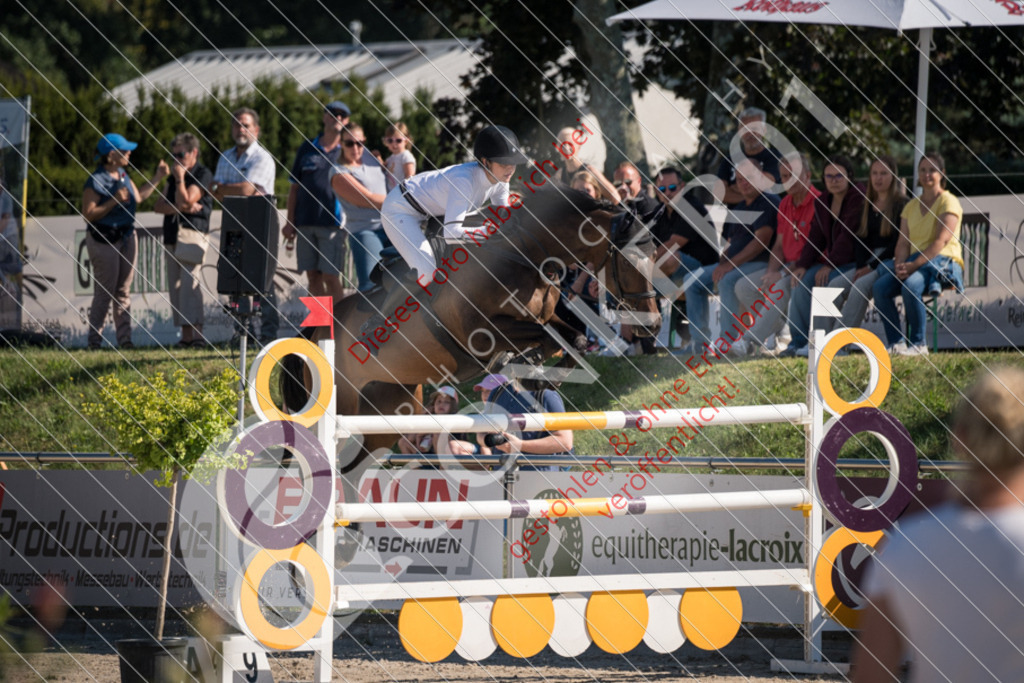 DSC_3856 | Sport-, Event- und Tierfotos in Profiqualität. Einfach auswählen, bestellen und herunterladen. Dein Moment – perfekt festgehalten.