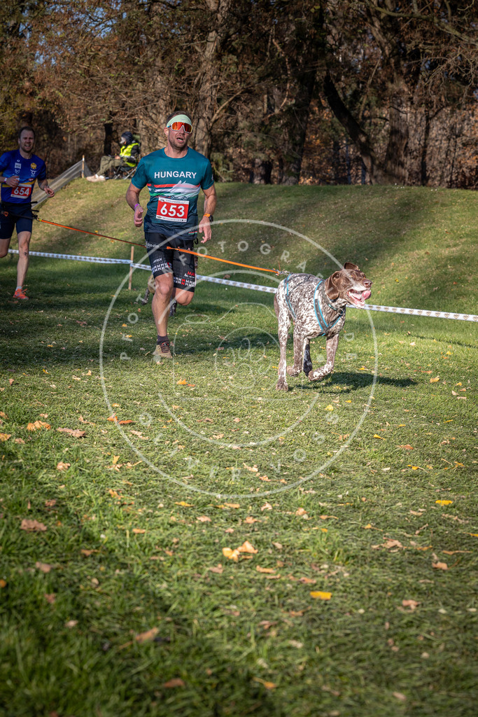CaniXpix_0L8A9138 | Hundefotografie, Tierfotograf, Pfotenfotografie, Fotoshooting Hund, Hunde Portrait, Hundesport, Hundeportraits, Heideshooting, Hunde, Sportfotograf, Hundefotograf, Turnierhundsport, THS,  - Realisiert mit Pictrs.com