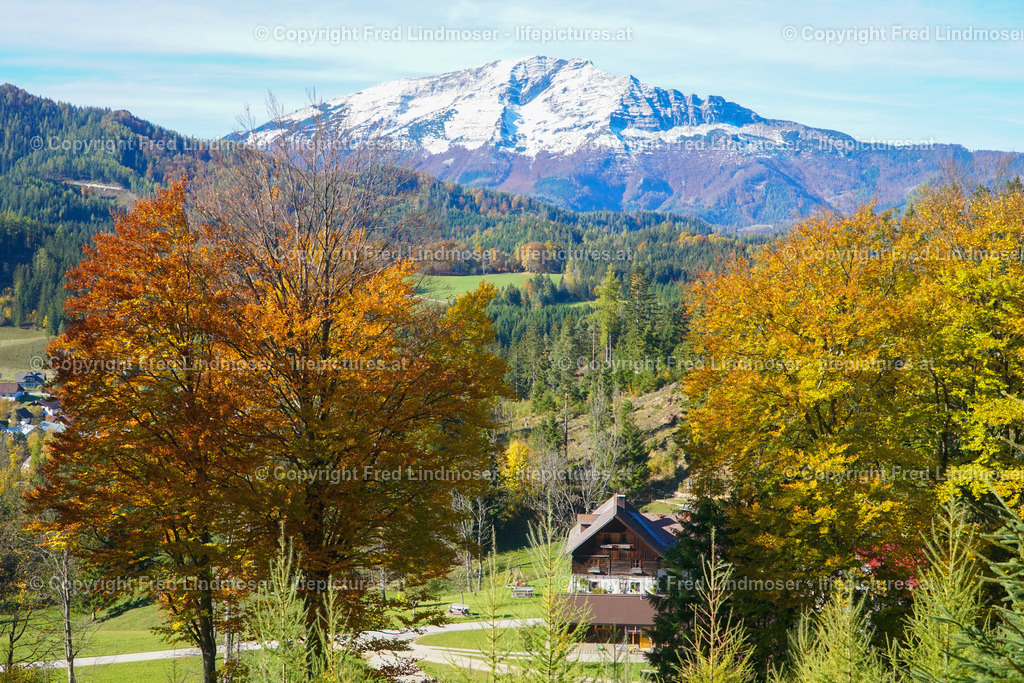 Otscher  (3) | Fotos und Fotoprodukte - Realisiert mit Pictrs.com