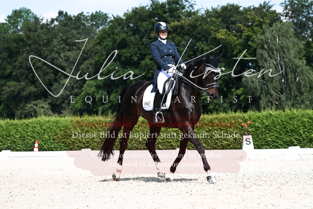 DSC_3293 | Pferde- und Turnierfotografie in Westsachsen. Pferdeportraits, Auftragszeichnungen und intuitive Kunst.