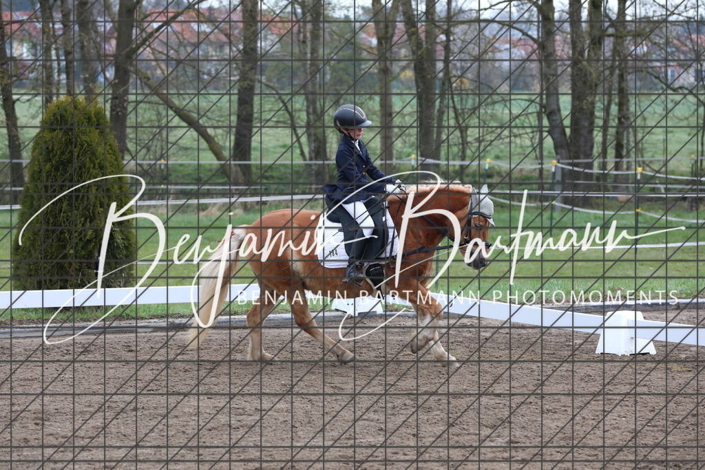 AZ2A3888 | Benjamin Bartmann Photomoments