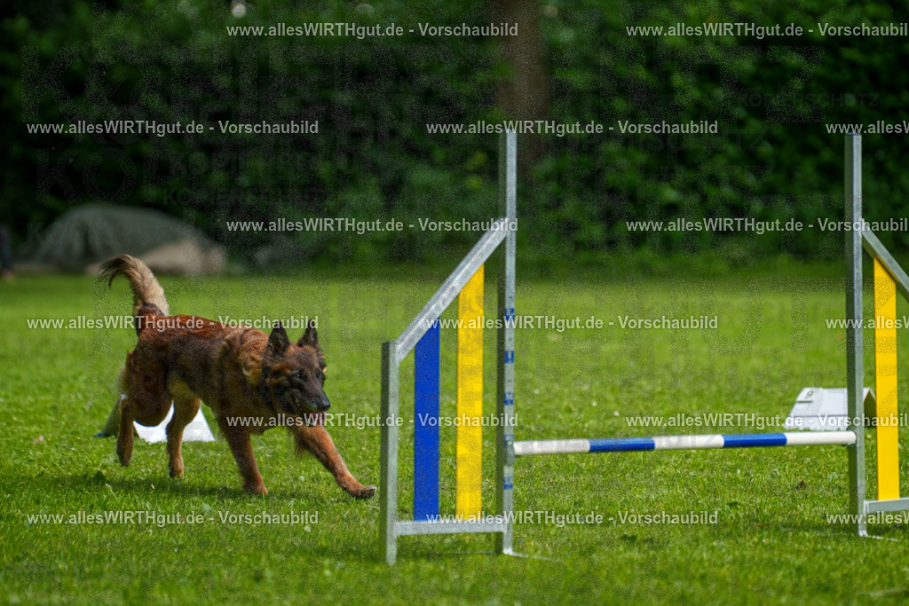 @allesWIRTHgut_Tierfotografie - www.allesWIRTHgut.de - 7R503746 | Professionelle Tierfotografie in Mönchengladbach von Daniel Wirth (allesWIRTHgut). Liebevolle & natürliche Bilder von Hunden & Katzen für unvergessliche Erinnerungen.
