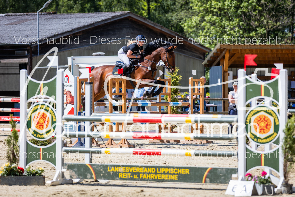 Donop24-L-Spr-039 | MomenTaufnahmen Pferdesportfotos