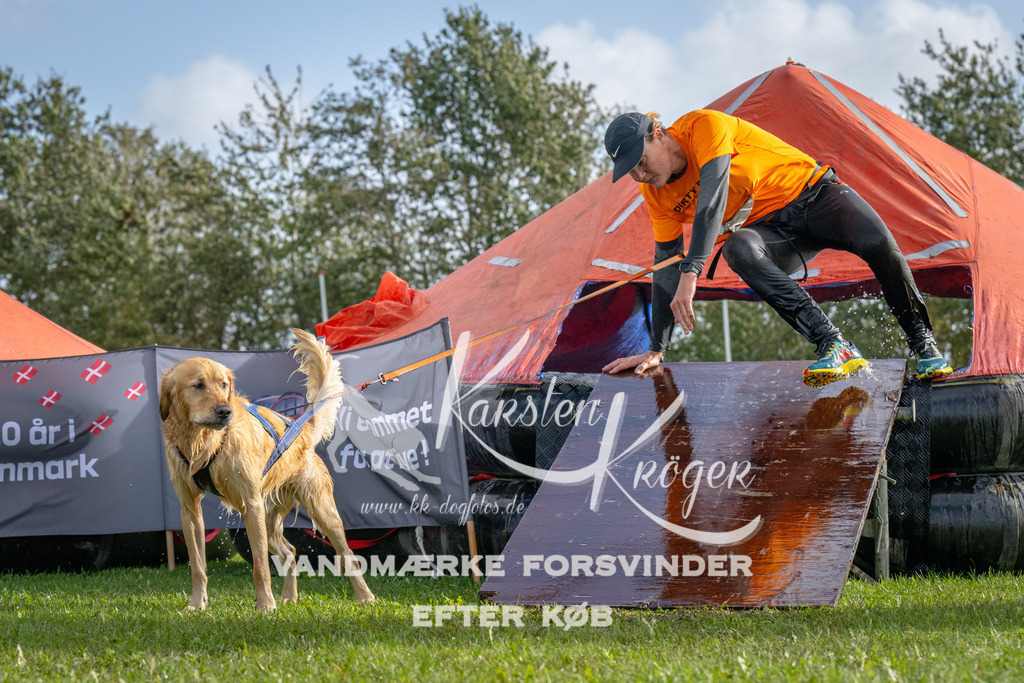 1211-92703 | kk-dogfotos