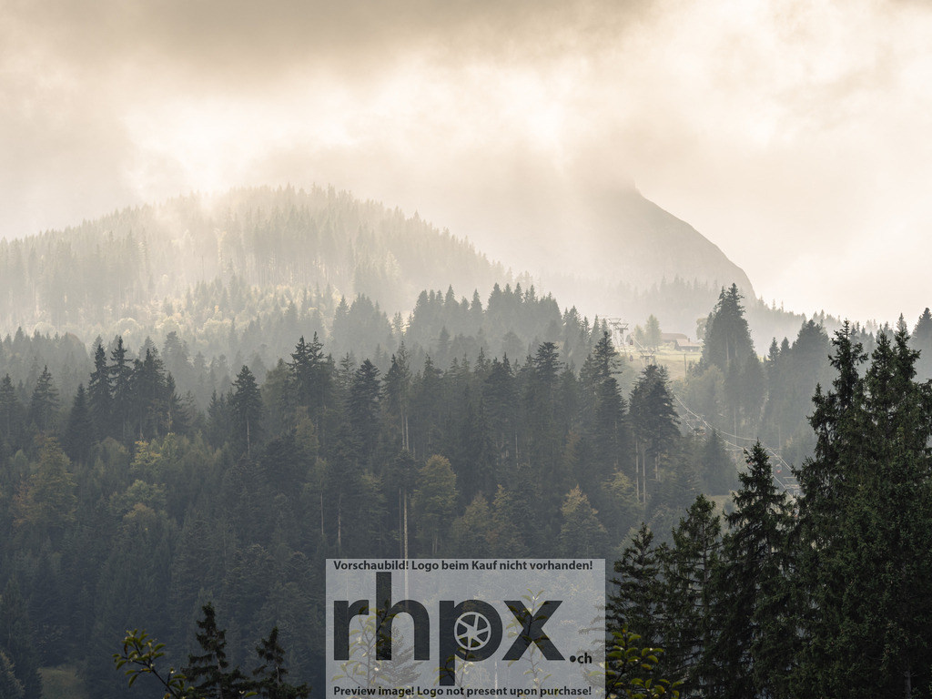 Nebelwald Schichten | Nebel. Wald. Stille.Die nebelverhangenen Tannen staffeln sich bis zum Horizont und tauchen die Berglandschaft in ein mystisches, weiches Licht. Eine fast greifbare Ruhe liegt über den Wipfeln, während die Konturen der Natur sanft miteinander verschmelzen.Wähle unter "Produktauswahl" dein Wunschformat: Vom klassischen Wandbild über Puzzle &amp; Tassen bis zum digitalen Download (z.B. als Handy-Hintergrund). - Realisiert mit Pictrs.com