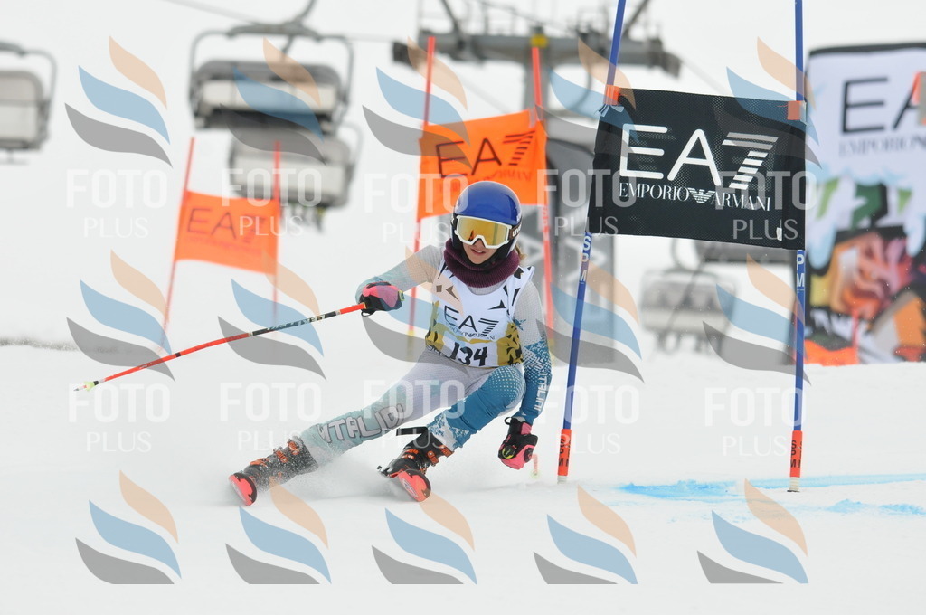 DSC_8317 | holidayphoto