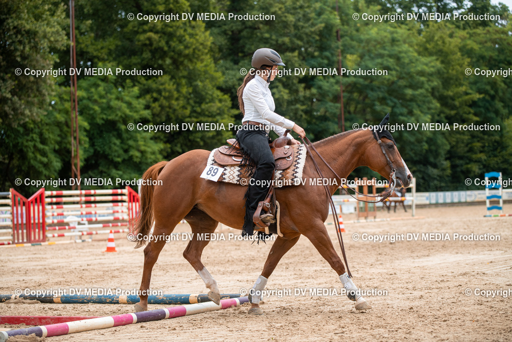 ZS2_8622 | dv-media-shop - Realisiert mit Pictrs.com