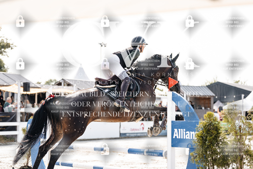 CK905527 | Turnierfotografie Pferdefotografie Trier Rheinland-Pfalz Pferdesport Reitsport Tierfotografie Sportfotografie Pferdevideo Pferdevideografie Equestrianvideography equestrianphotography  - Realisiert mit Pictrs.com
