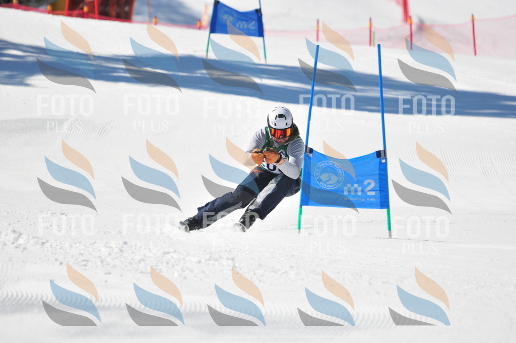 C4462 | holidayphoto