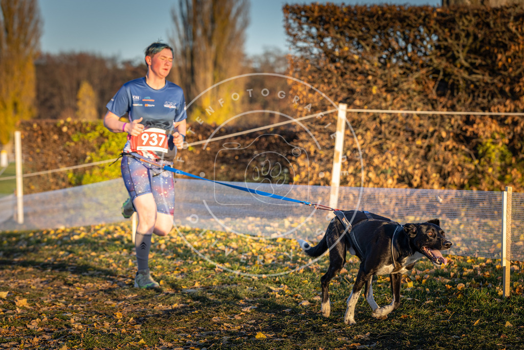CaniXpix_DV3A5317 | Hundefotografie, Tierfotograf, Pfotenfotografie, Fotoshooting Hund, Hunde Portrait, Hundesport, Hundeportraits, Heideshooting, Hunde, Sportfotograf, Hundefotograf, Turnierhundsport, THS,  - Realisiert mit Pictrs.com