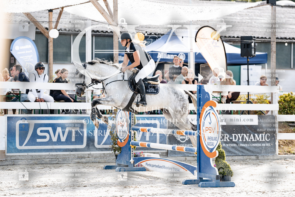 CK905419 | Turnierfotografie Pferdefotografie Trier Rheinland-Pfalz Pferdesport Reitsport Tierfotografie Sportfotografie Pferdevideo Pferdevideografie Equestrianvideography equestrianphotography  - Realisiert mit Pictrs.com