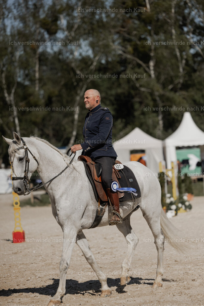 _AM27859 | working equitationturnier fotograf videograf stoibphotography marixx film working equitation deutschland reitsport turnierfotografie eventfotografie equestrian events