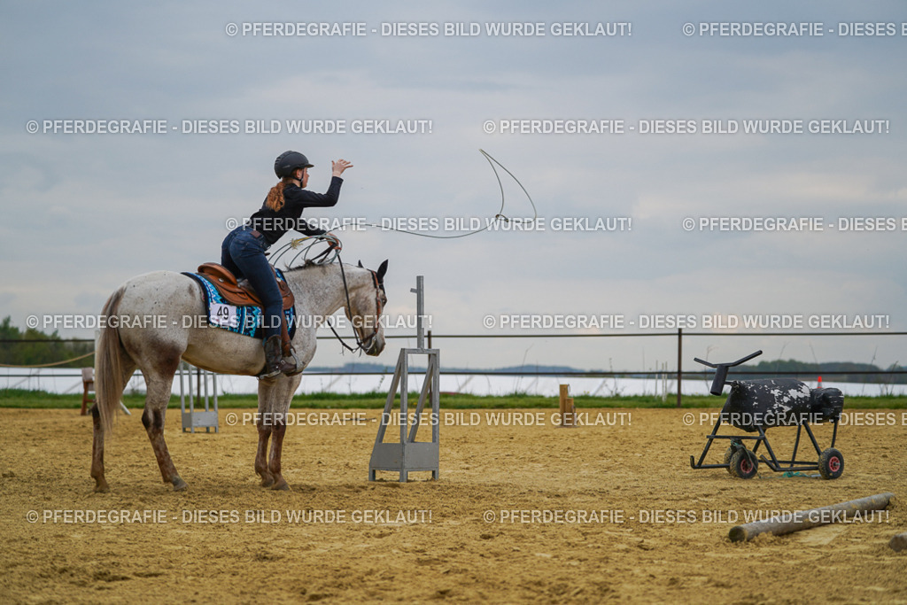 DSC07592 | Pferdegrafie