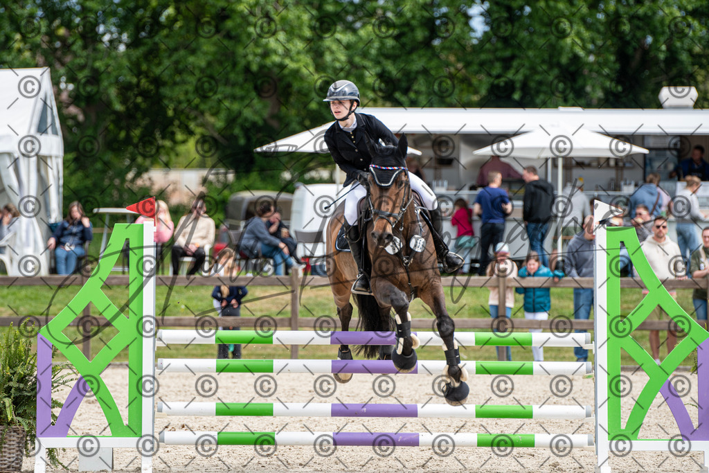 KPT_5504 | andre_photographic