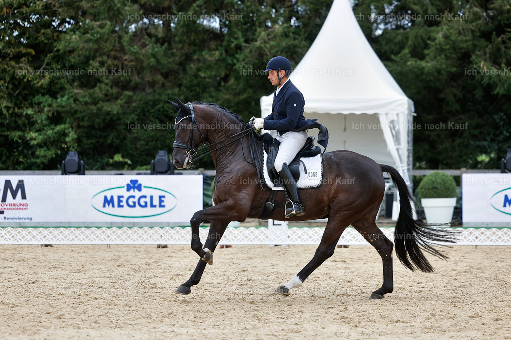 11-058-Dressur S___-StoibPH-1473 | working equitationturnier fotograf videograf stoibphotography marixx film working equitation deutschland reitsport turnierfotografie eventfotografie equestrian events