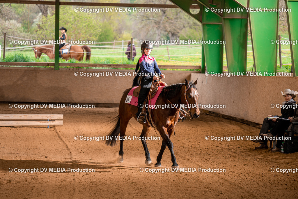 BA400626 | dv-media-shop - Realisiert mit Pictrs.com