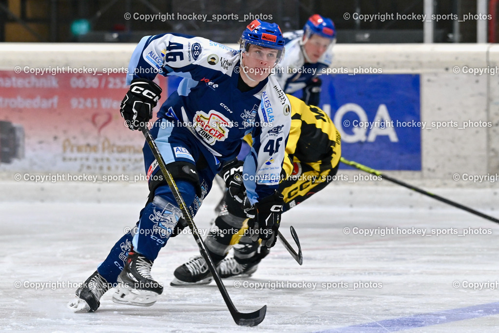 EC Spittal Hornets vs. ESC Steindorf 10.2.2024 | #46 Maurer Julian