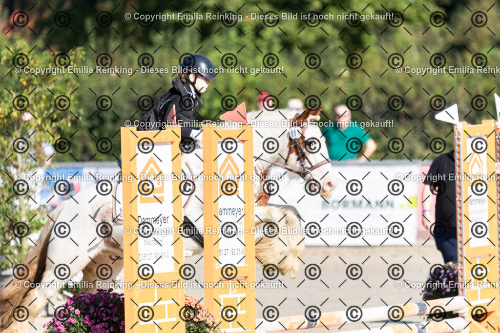 CL5A0146 | Emilia Reinking Fotografie - Realisiert mit Pictrs.com