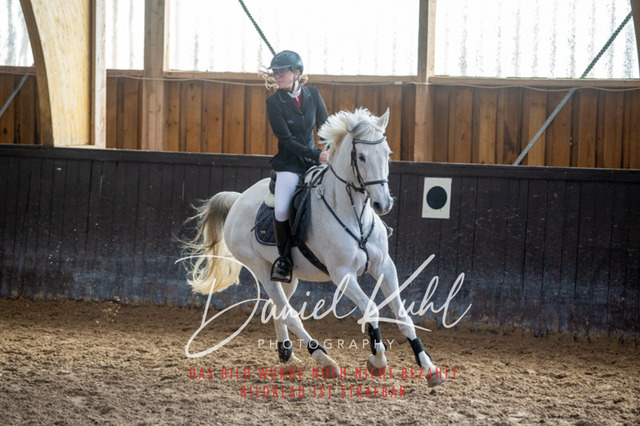 IMG_2010 | Turniersportfotografie; Pferdefotografie; Dressurfotografie