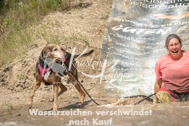 1543_ZZ94658 | kk-dogfotos