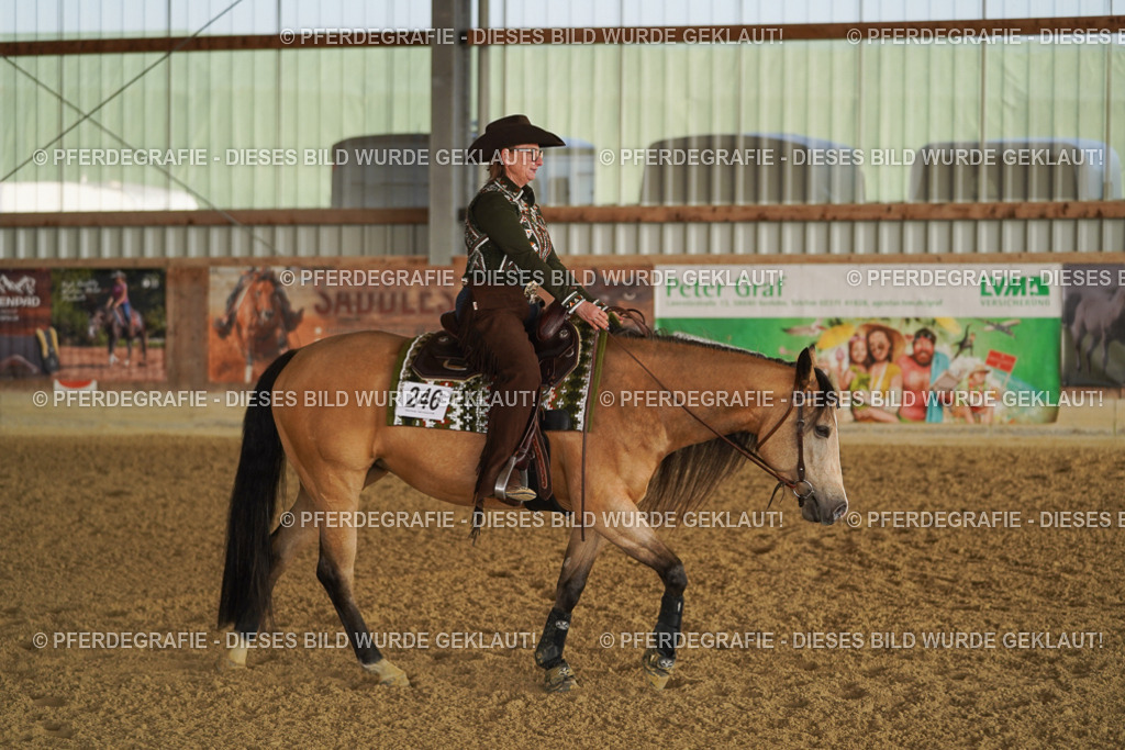 DSC08374 | Pferdegrafie