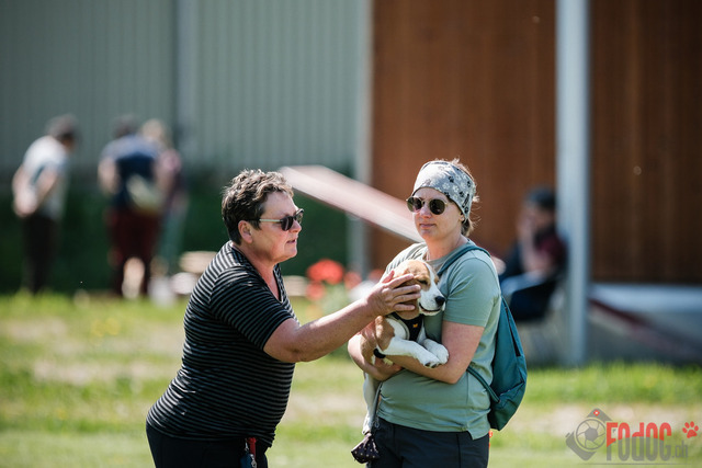 Beagle Club Schweiz  | Beagle Club Schweiz, 45 Jahre in Menziken 2025 Foto: Leo Wyden