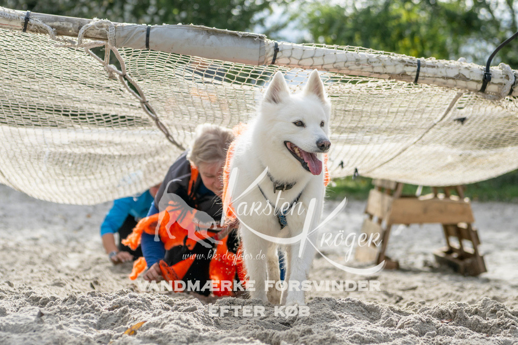 1202_ZZ99874 | kk-dogfotos