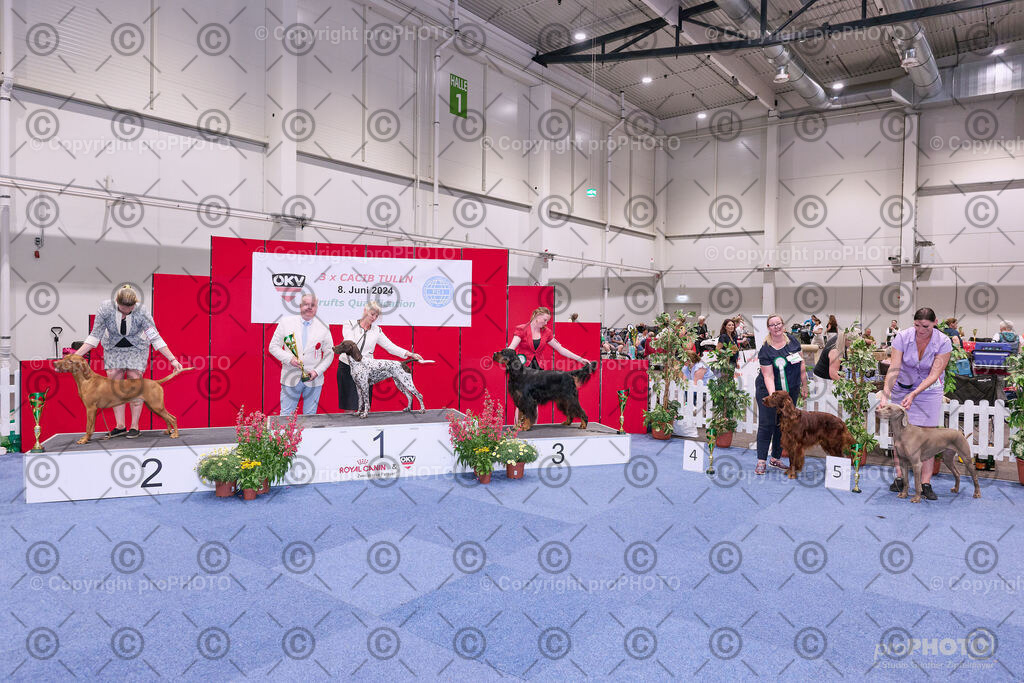 202406_ÖKV-IHA-Tulln24_NZ9_8718 | proPHOTO - Realisiert mit Pictrs.com