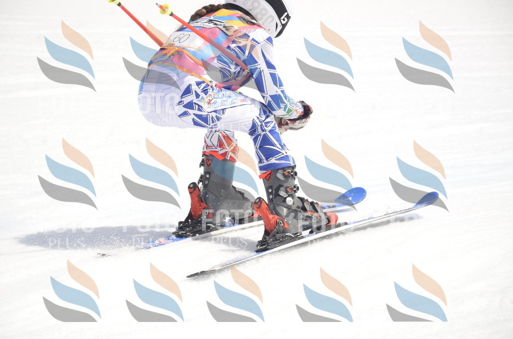 _ELE8977 | holidayphoto