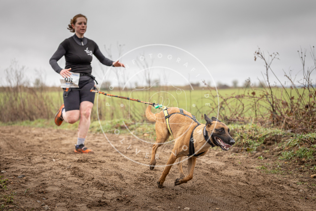DV3A0149 | Hundefotografie, Tierfotograf, Pfotenfotografie, Fotoshooting Hund, Hunde Portrait, Hundesport, Hundeportraits, Heideshooting, Hunde, Sportfotograf, Hundefotograf, Turnierhundsport, THS,  - Realisiert mit Pictrs.com