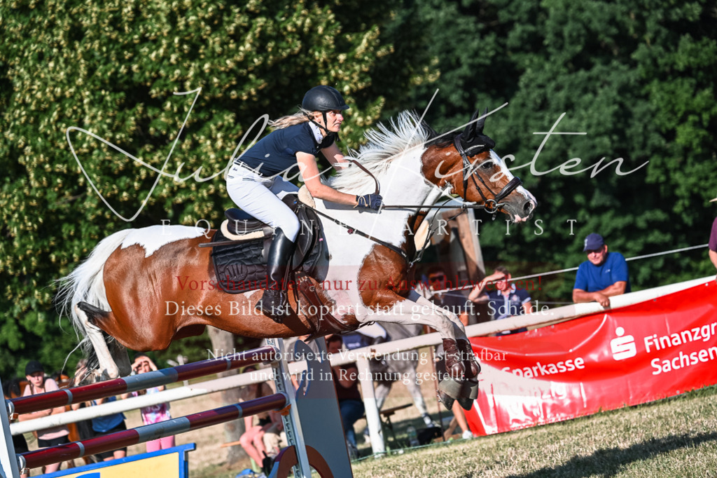 DSC_2852 | Pferde- und Turnierfotografie in Westsachsen. Pferdeportraits, Auftragszeichnungen und intuitive Kunst.
