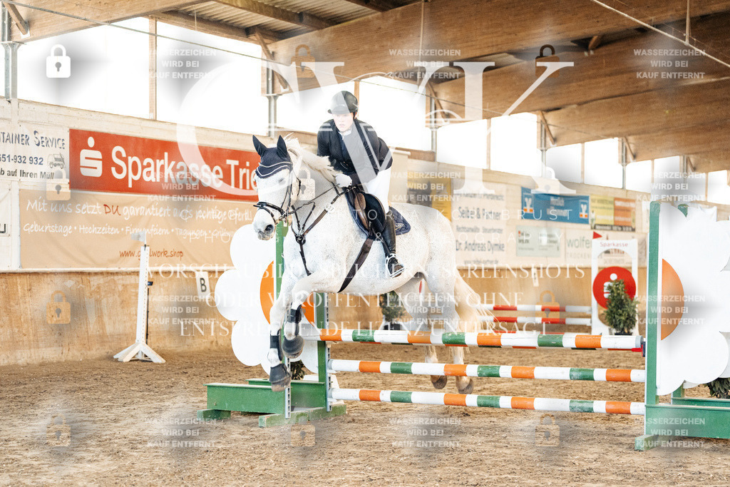 CK903969 | Turnierfotografie Pferdefotografie Trier Rheinland-Pfalz Pferdesport Reitsport Tierfotografie Sportfotografie Pferdevideo Pferdevideografie Equestrianvideography equestrianphotography  - Realized with Pictrs.com