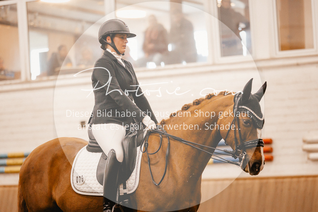 3I6A2847 | Stimmungsvolle Portraits und Reitsportfotografie im Ruhrgebiet und im Münsterland.

Pferdefotografie, Hundefotografie, Tierfotografie, Reportagen, Portraits von Tier und Mensch, Turnierfotografie in Bochum, Recklinghausen, Marl, Haltern am See, Dülmen.. - Realisiert mit Pictrs.com