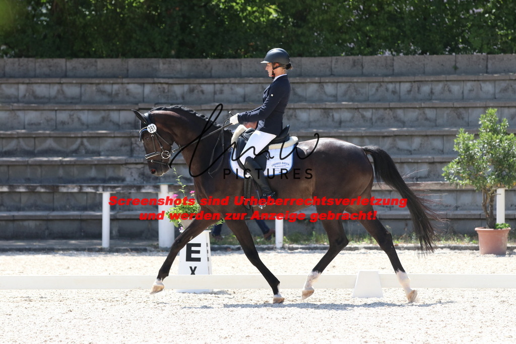 IMG_5096 | lmwpictures - Realisiert mit Pictrs.com