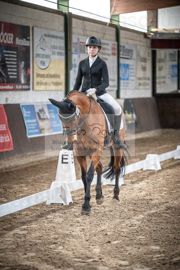 DOS_0020 | Entdecke hochwertige Reitturnierfotos von Foto Oger. Professionell, emotional und authentisch – jetzt Lieblingsmomente im Shop bestellen.Deutschlandweite Turnierfotografie. - Realisiert mit Pictrs.com