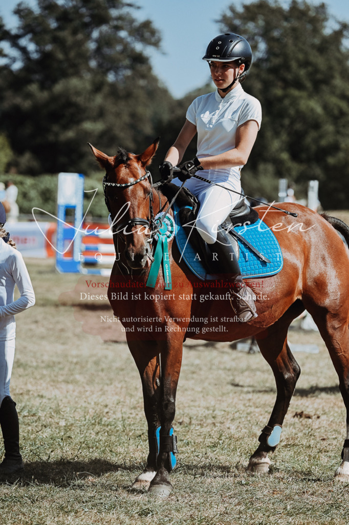 DSC_0099 | Pferde- und Turnierfotografie in Westsachsen. Pferdeportraits, Auftragszeichnungen und intuitive Kunst.