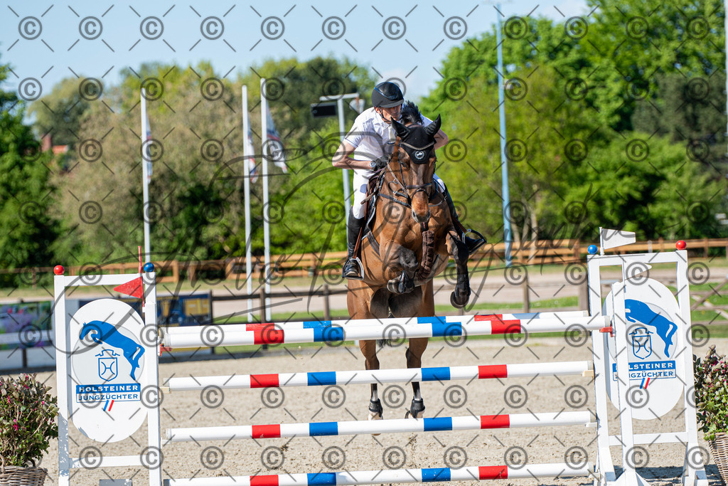 KPT_1647 | andre_photographic