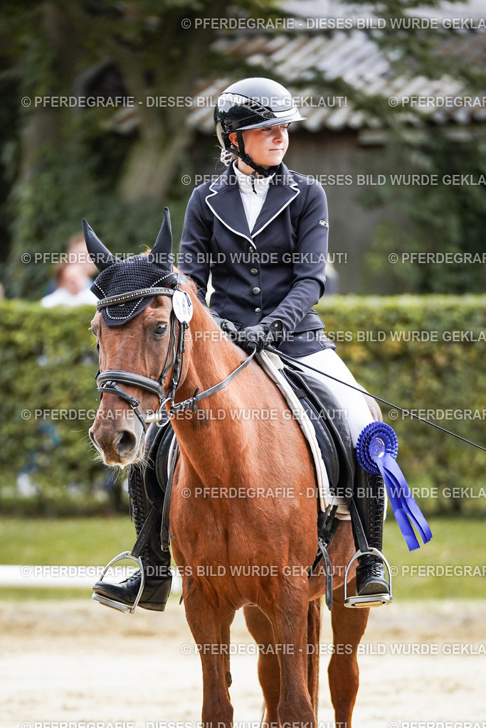 DSC04994 | Pferdegrafie