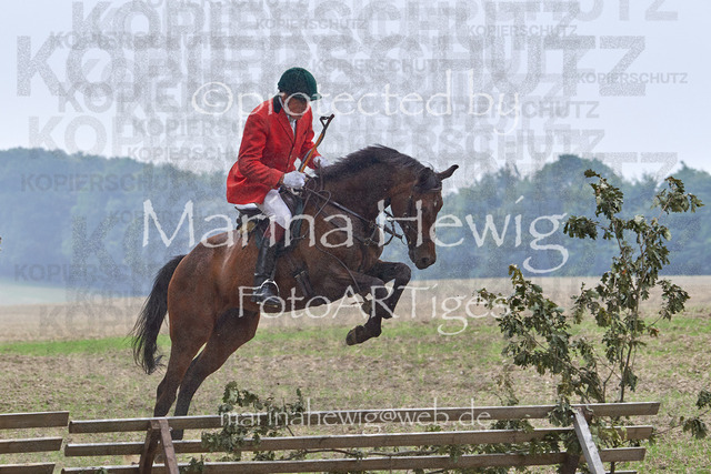 09-23 Jagd Perdöl_MCH9658_Marina Hewig | Fotografie, FotoArt, PferdesportArt, Pferdesportfotografie, Landschaftsfotografie, Reisefotografie, Reise, Pferde - Realisiert mit Pictrs.com