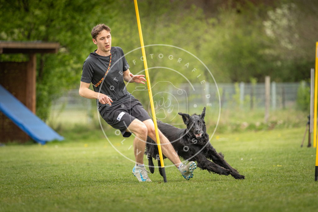 Pfotenfotografie_DV3A9769 | Hundefotografie, Tierfotograf, Pfotenfotografie, Fotoshooting Hund, Hunde Portrait, Hundesport, Hundeportraits, Heideshooting, Hunde, Sportfotograf, Hundefotograf, Turnierhundsport, THS,  - Realisiert mit Pictrs.com