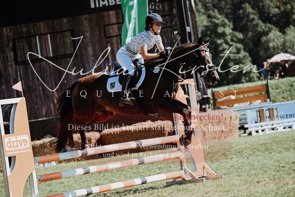 DSC_6765 | Pferde- und Turnierfotografie in Westsachsen. Pferdeportraits, Auftragszeichnungen und intuitive Kunst.