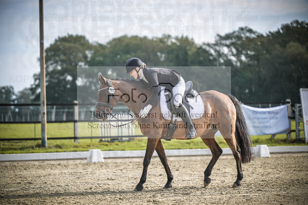 DOS_B150 | Entdecke hochwertige Reitturnierfotos von Foto Oger. Professionell, emotional und authentisch – jetzt Lieblingsmomente im Shop bestellen.Deutschlandweite Turnierfotografie. - Realisiert mit Pictrs.com