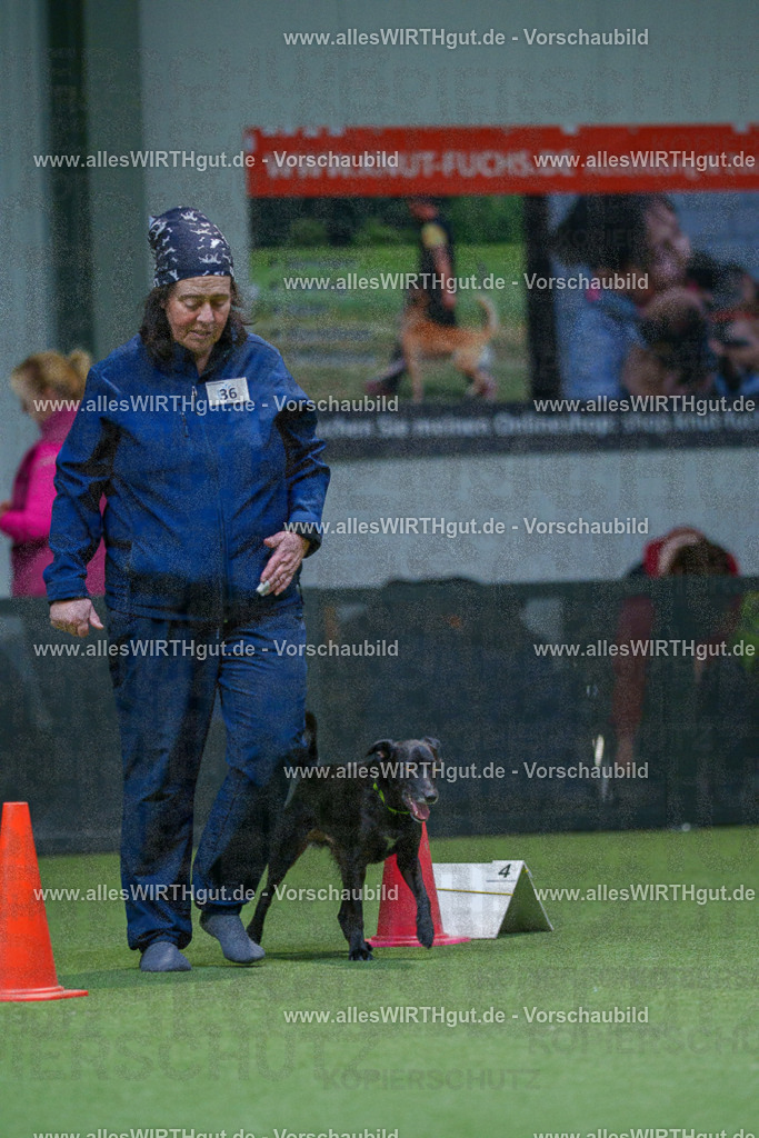 7R505970 | Professionelle Tierfotografie in Mönchengladbach von Daniel Wirth (allesWIRTHgut). Liebevolle & natürliche Bilder von Hunden & Katzen für unvergessliche Erinnerungen.