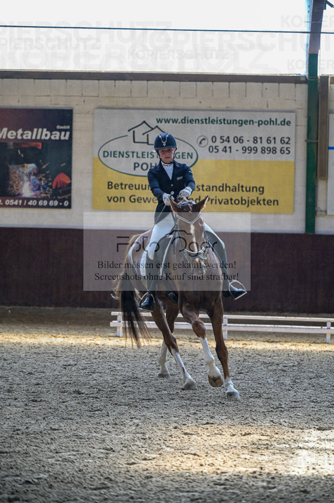 Reitturnier Voxtrup | Entdecke hochwertige Reitturnierfotos von Foto Oger. Professionell, emotional und authentisch – jetzt Lieblingsmomente im Shop bestellen.Deutschlandweite Turnierfotografie. - Realisiert mit Pictrs.com
